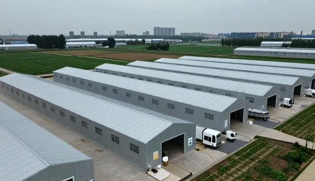 汽车销售中的适用条件解析与实际应对策略